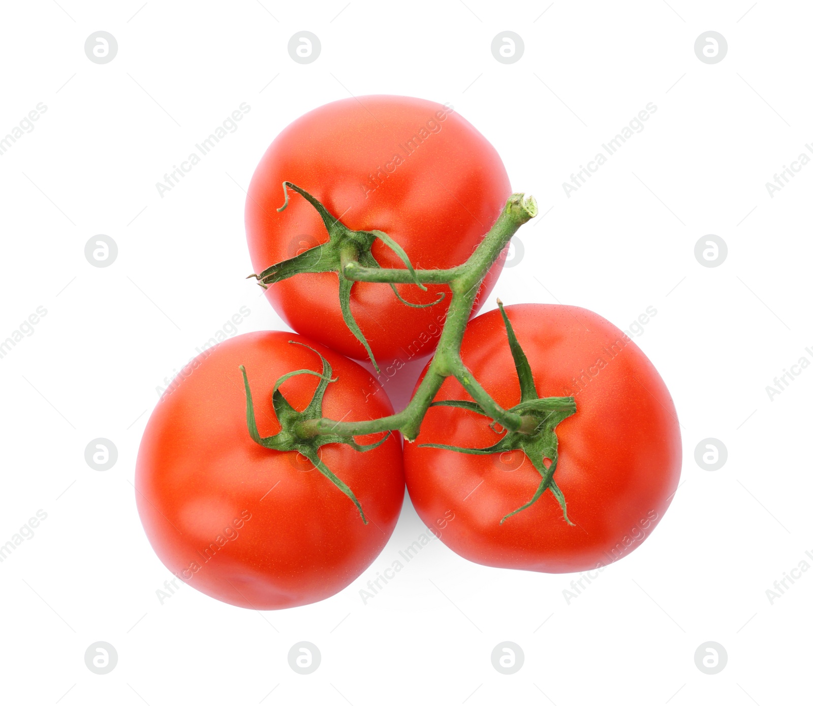 Photo of Branch of ripe red tomatoes on white background, top view