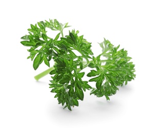 Fresh green parsley on white background