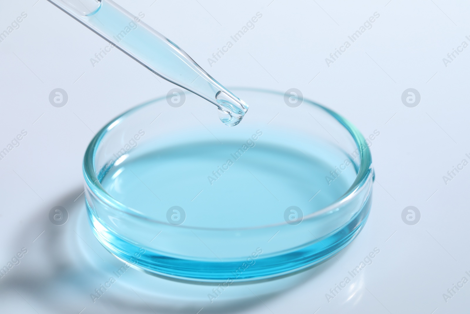 Photo of Dripping liquid from pipette into petri dish at white table, closeup