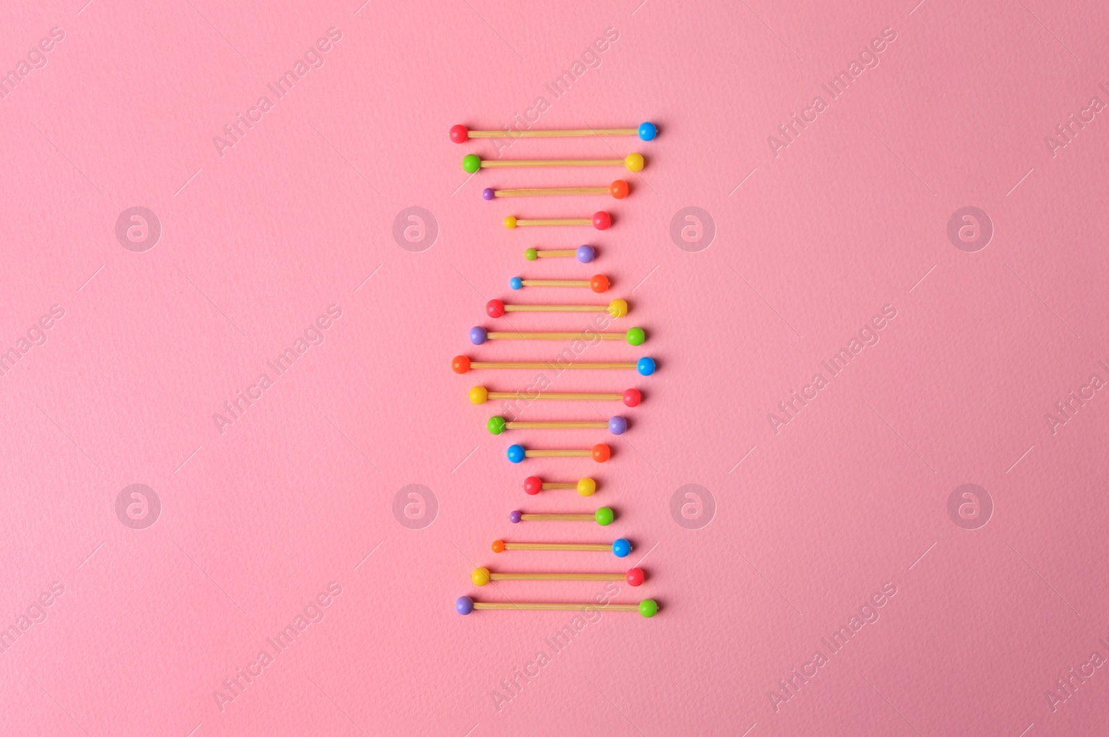 Photo of Model of DNA molecular chain on pink background, top view