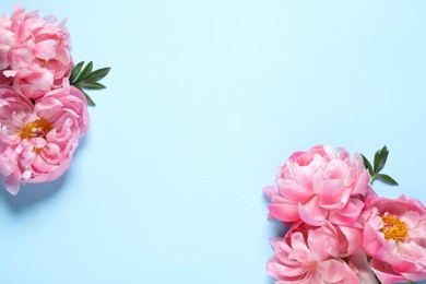 Photo of Beautiful pink peonies on light turquoise background, flat lay. Space for text