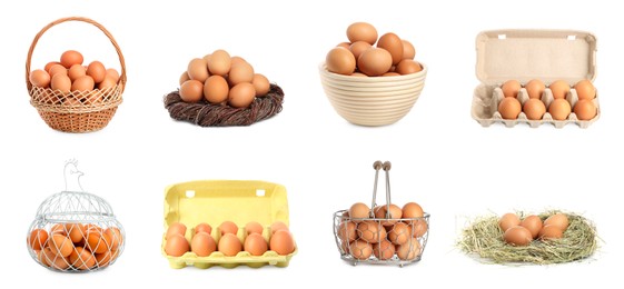 Set of many eggs on white background