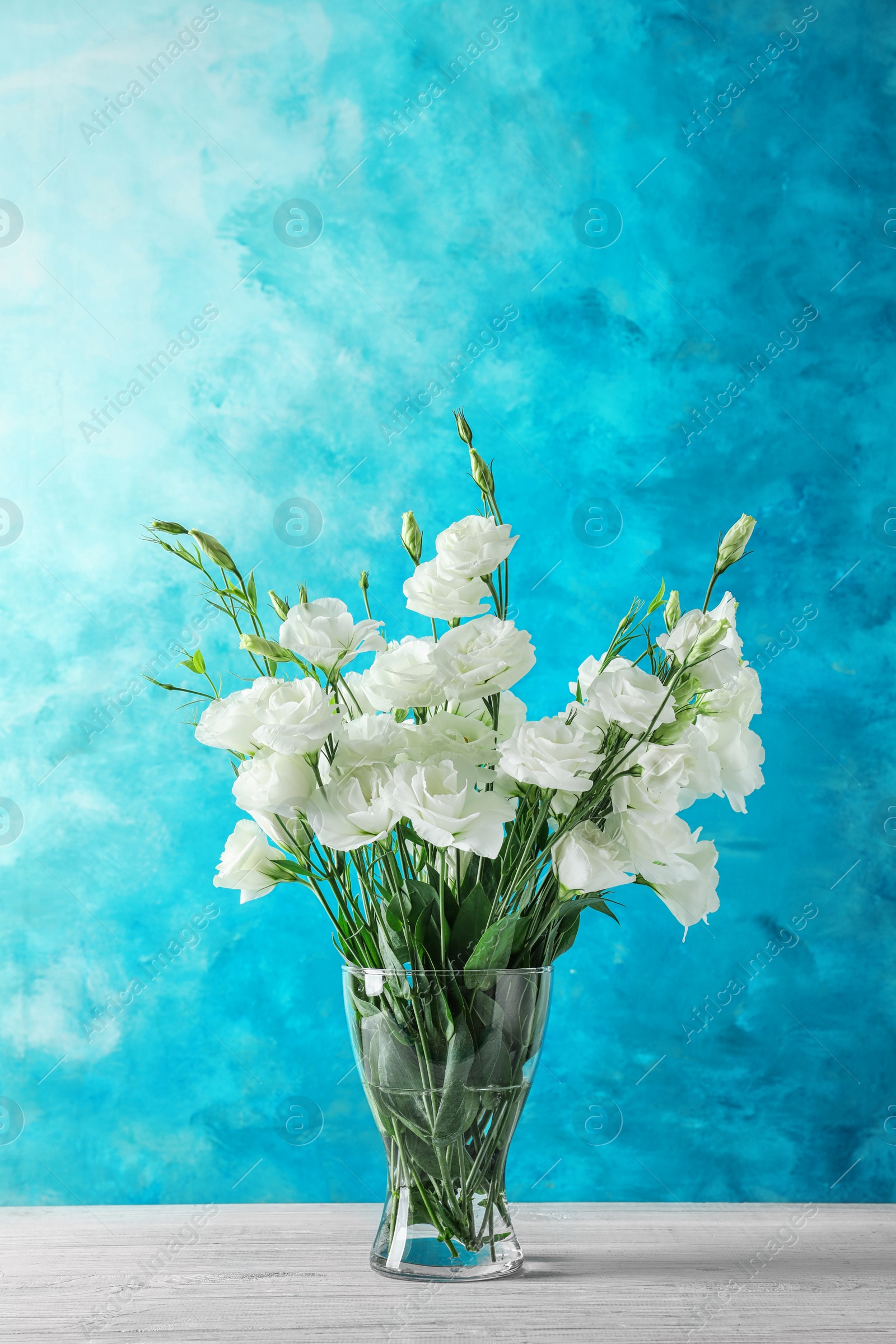 Photo of Vase with beautiful Eustoma flowers on table against color background