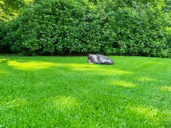 Photo of Modern robot lawn mower on green grass in garden