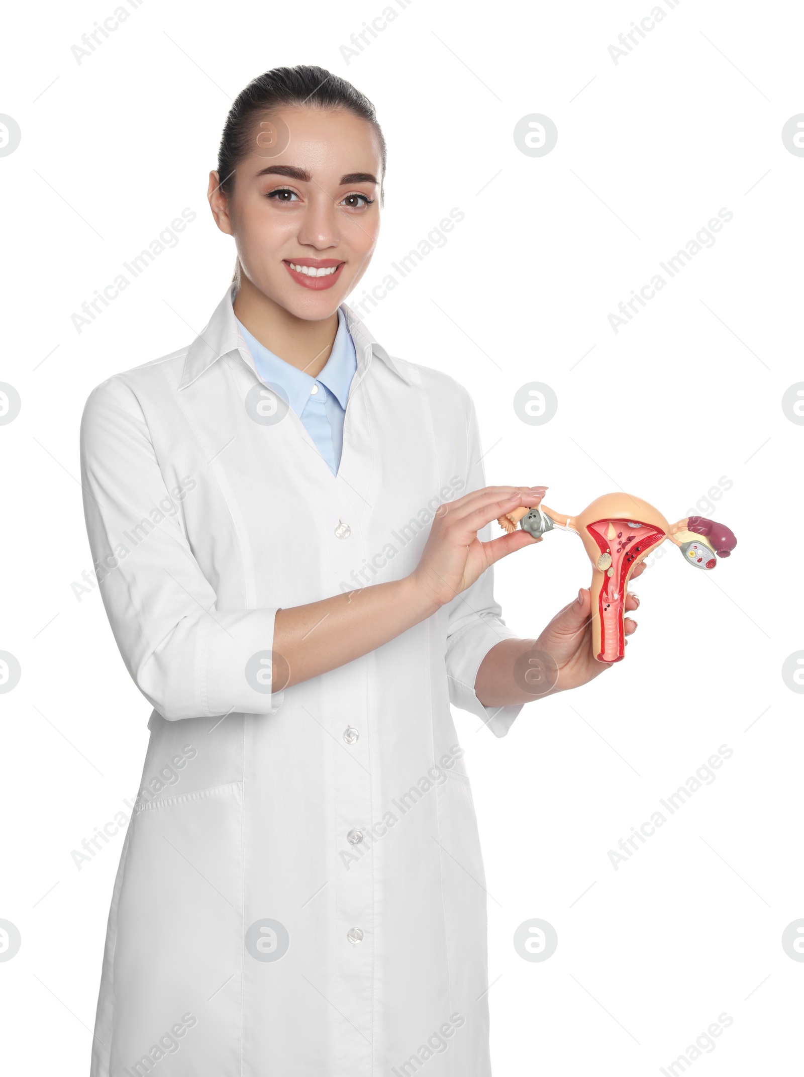 Photo of Doctor demonstrating model of female reproductive system on white background. Gynecological care