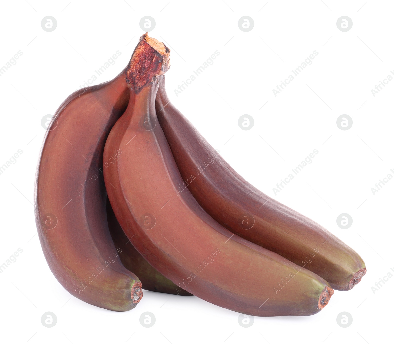 Photo of Delicious red baby bananas on white background