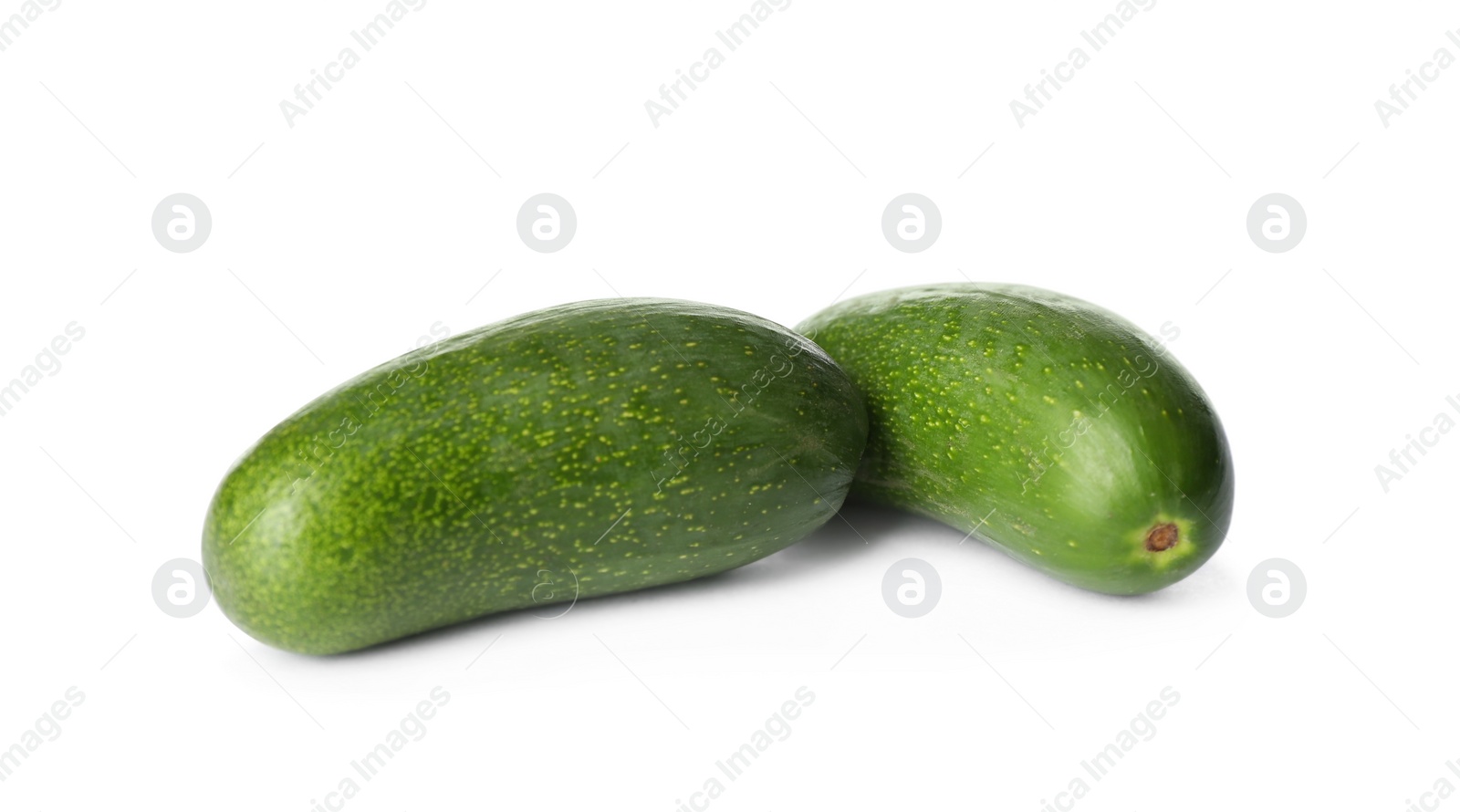 Photo of Fresh whole seedless avocados isolated on white