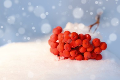 Image of Cluster of red rowan berries on snow outdoors, space for text. Bokeh effect