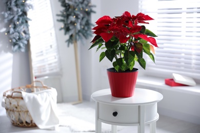 Photo of Beautiful poinsettia in pot on table at home, space for text. Traditional Christmas flower