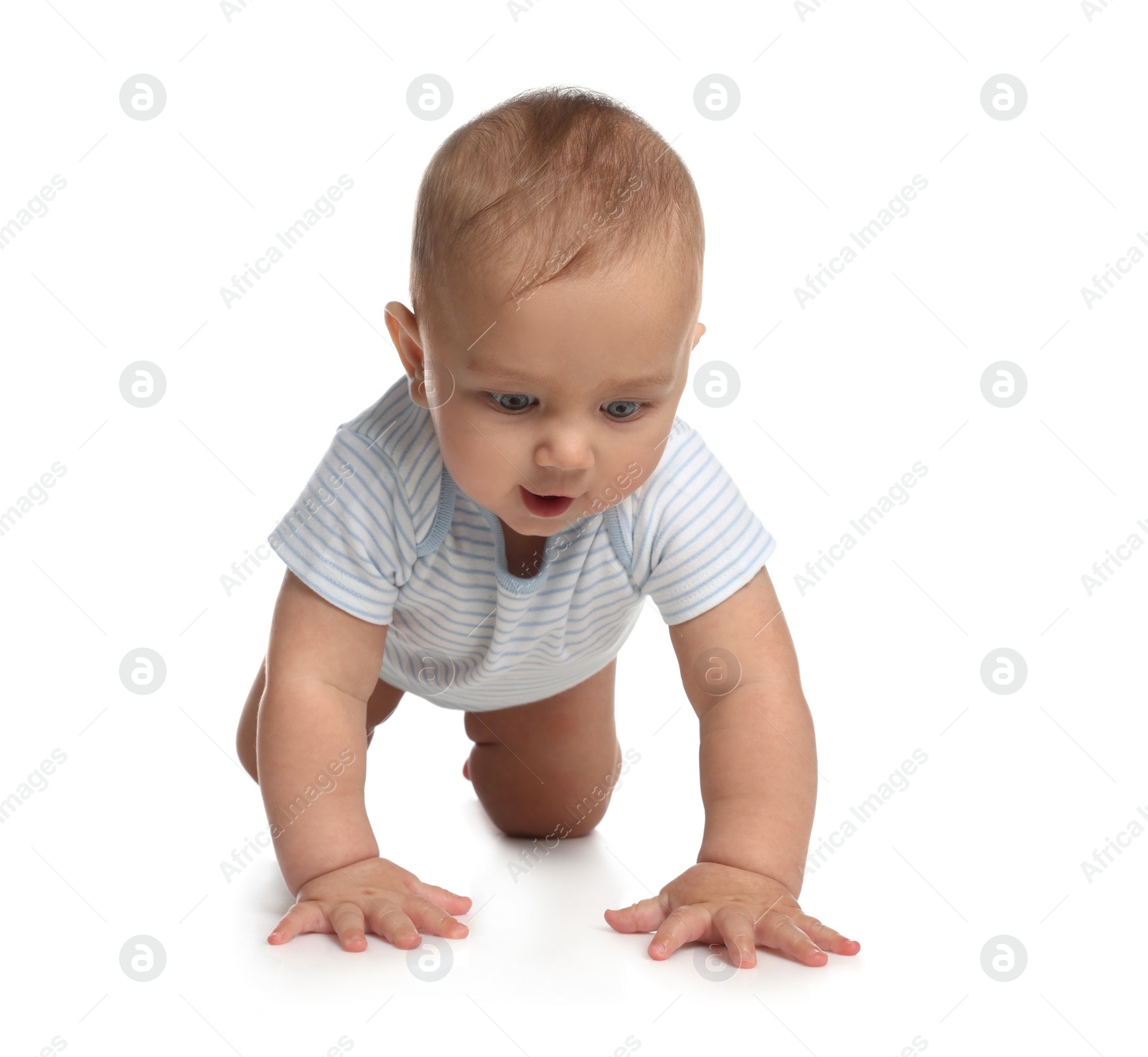 Photo of Cute little baby boy crawling on white background