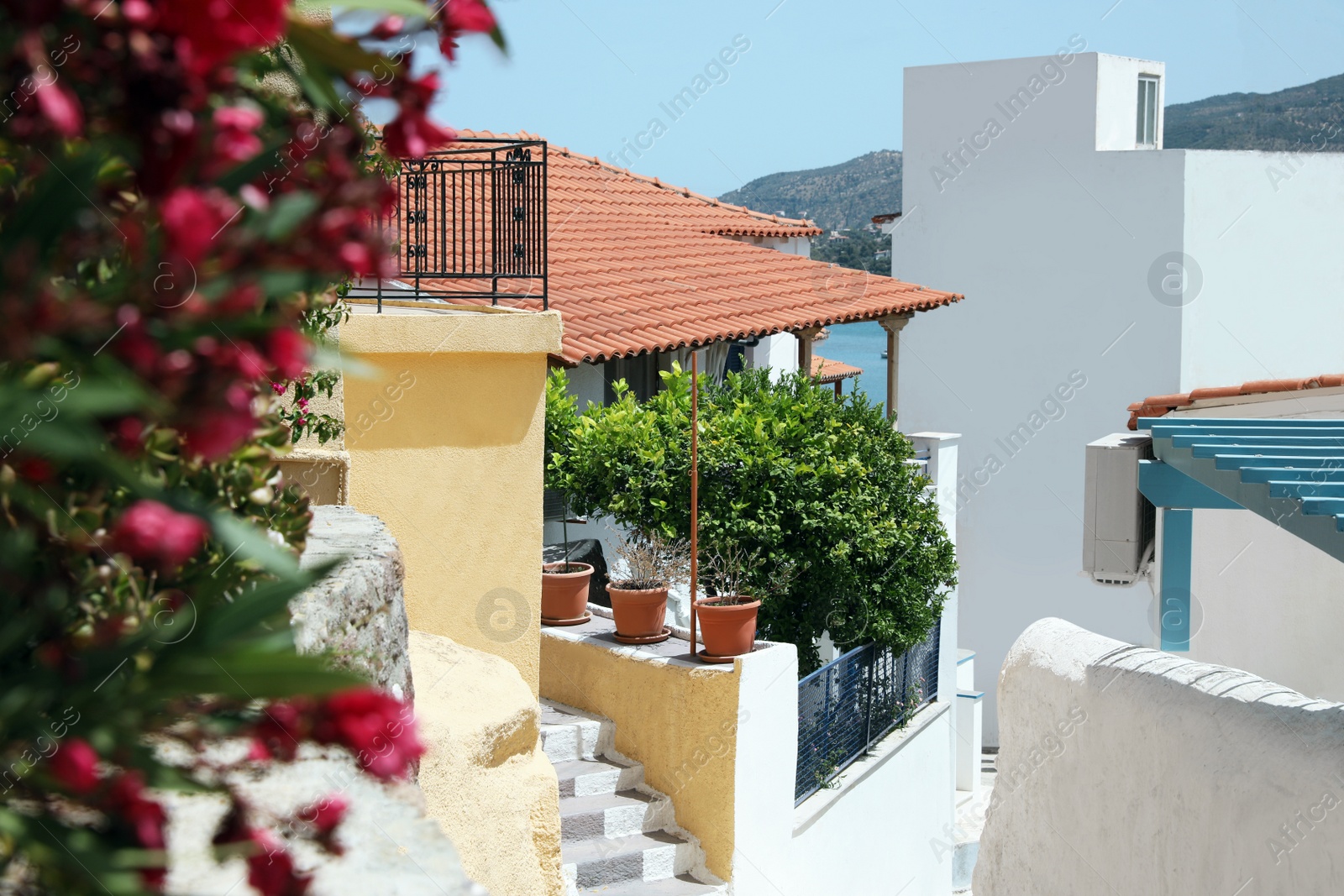 Photo of City street with beautiful buildings on sunny day