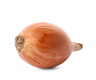 Photo of Fresh ripe onion on white background