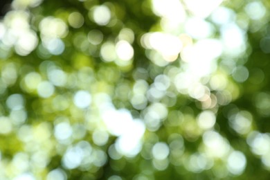 Blurred view of green trees outdoors. Bokeh effect