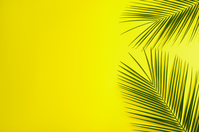 Photo of Beautiful lush tropical leaves on yellow background. Space for text