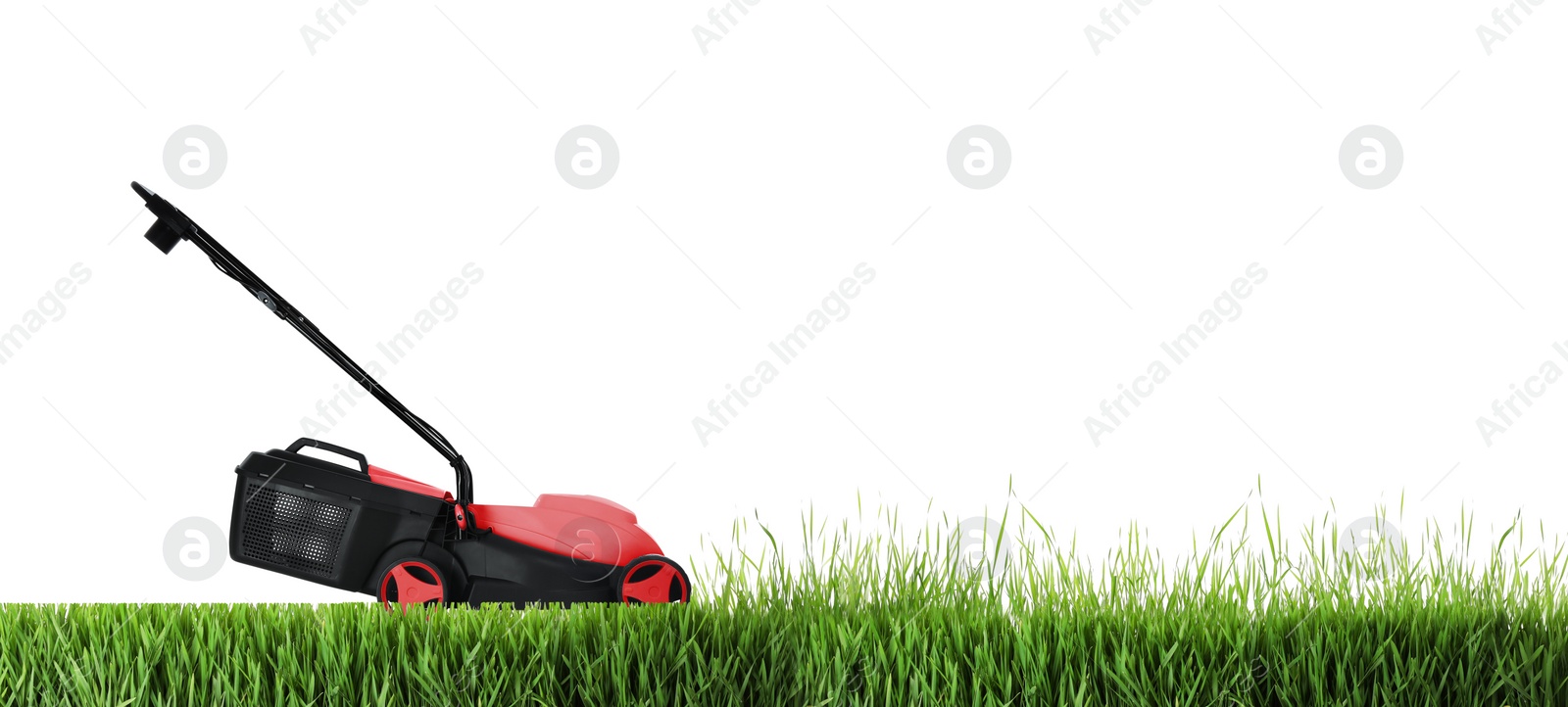 Image of Modern garden lawn mower cutting green grass, white background. Banner design