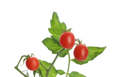 Stem with ripe cherry tomatoes and leaves isolated on white