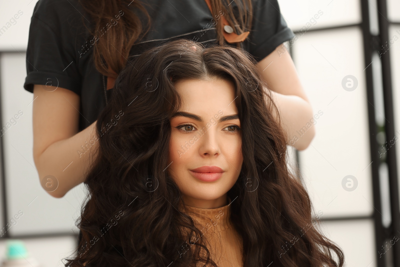 Photo of Hair styling. Professional hairdresser working with client indoors, closeup