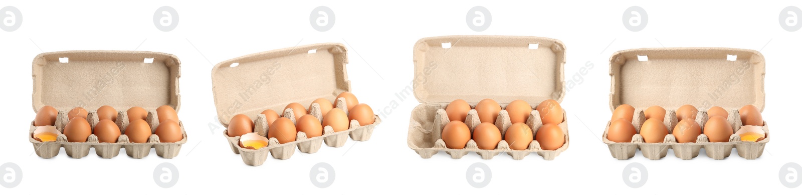 Image of Brown chicken eggs in egg cartons isolated on white, set