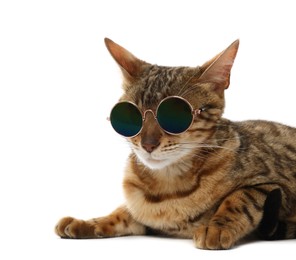Cute Bengal cat in sunglasses on white background