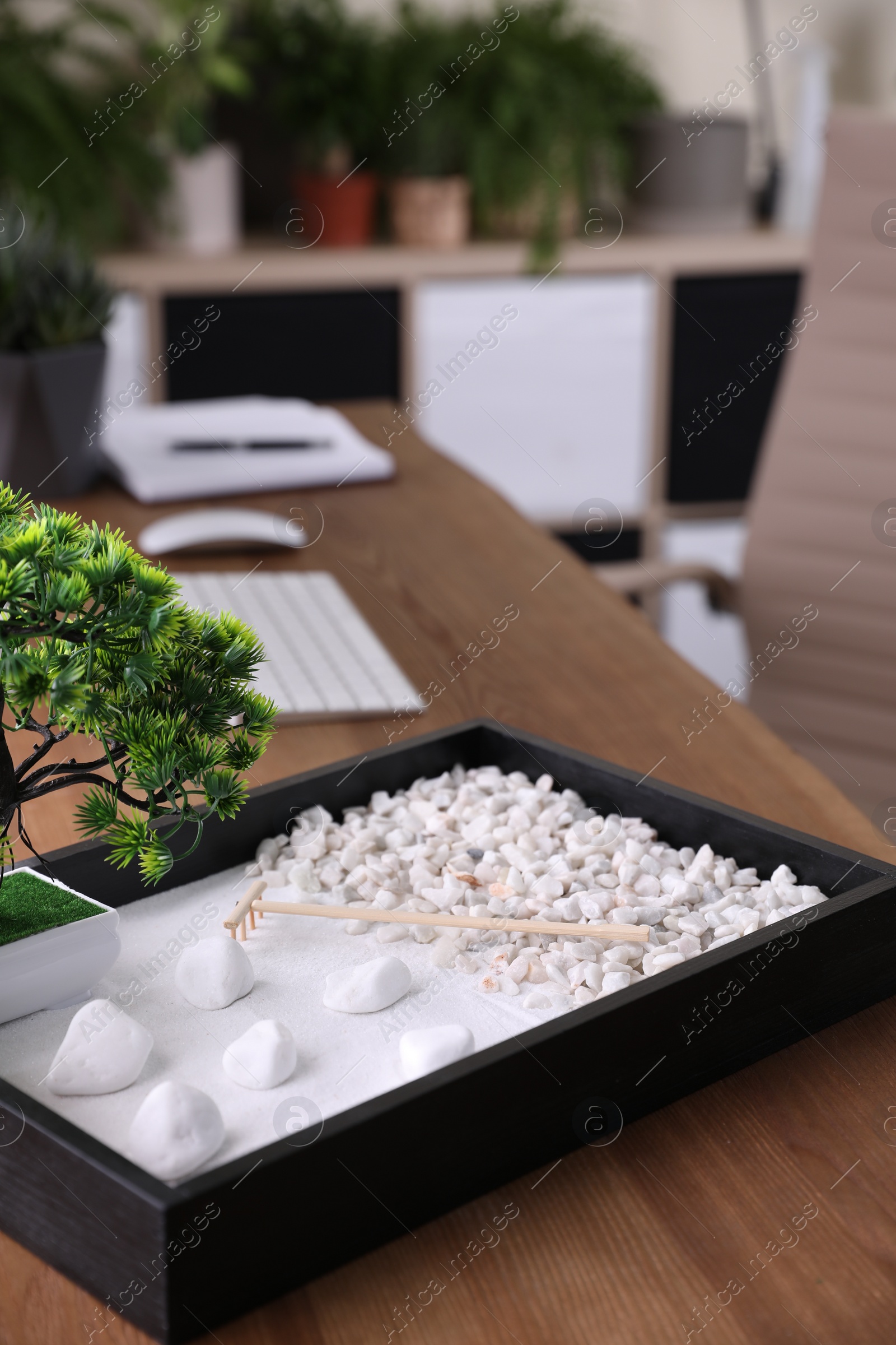 Photo of Beautiful miniature zen garden and computer on wooden table in office