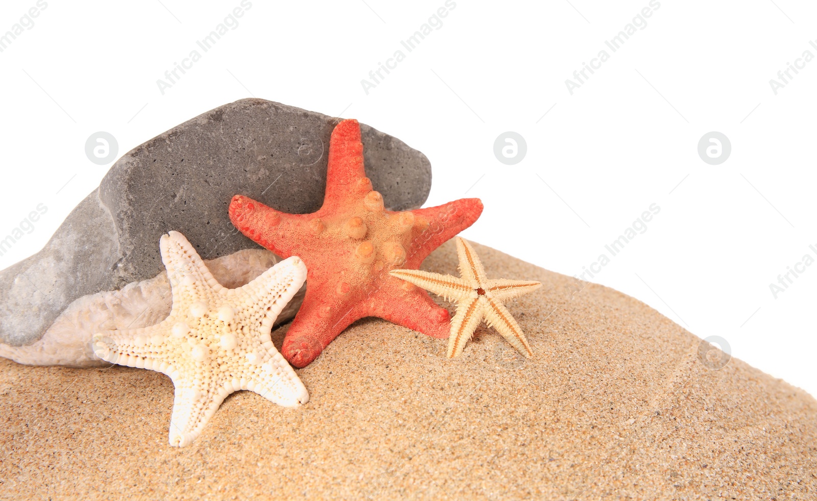 Photo of Sand with many beautiful sea stars and stone isolated on white, space for text