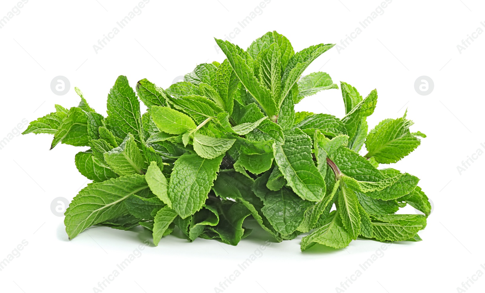 Photo of Fresh green mint leaves on white background