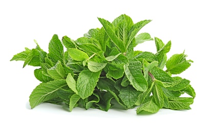 Fresh green mint leaves on white background