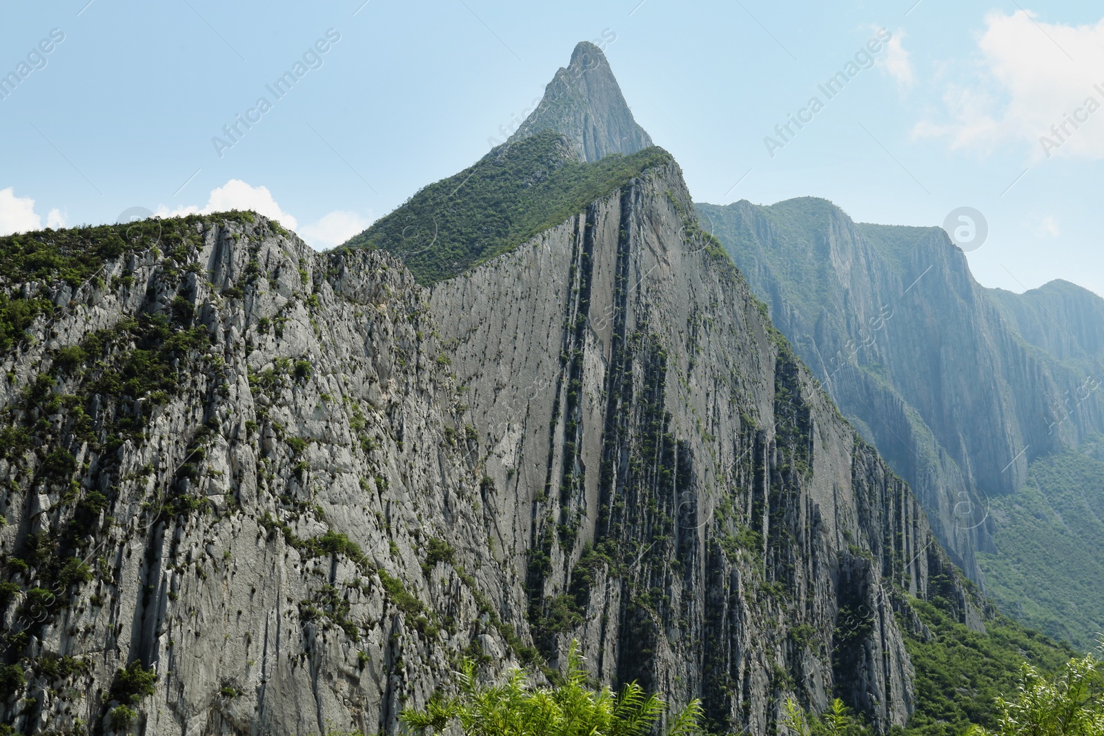 Photo of Beautiful mountains and plants under cloudy sky