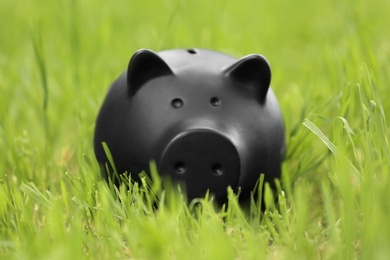 Cute piggy bank on green grass in park