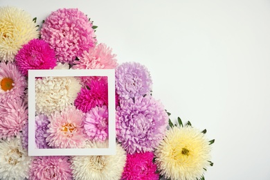 Beautiful aster flowers and picture frame on white background, top view