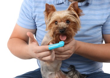 Photo of Man brushing dog's teeth on white background, closeup