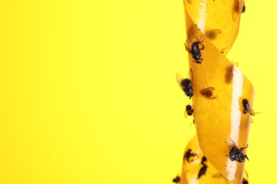 Photo of Sticky insect tape with dead flies on yellow background, closeup. Space for text