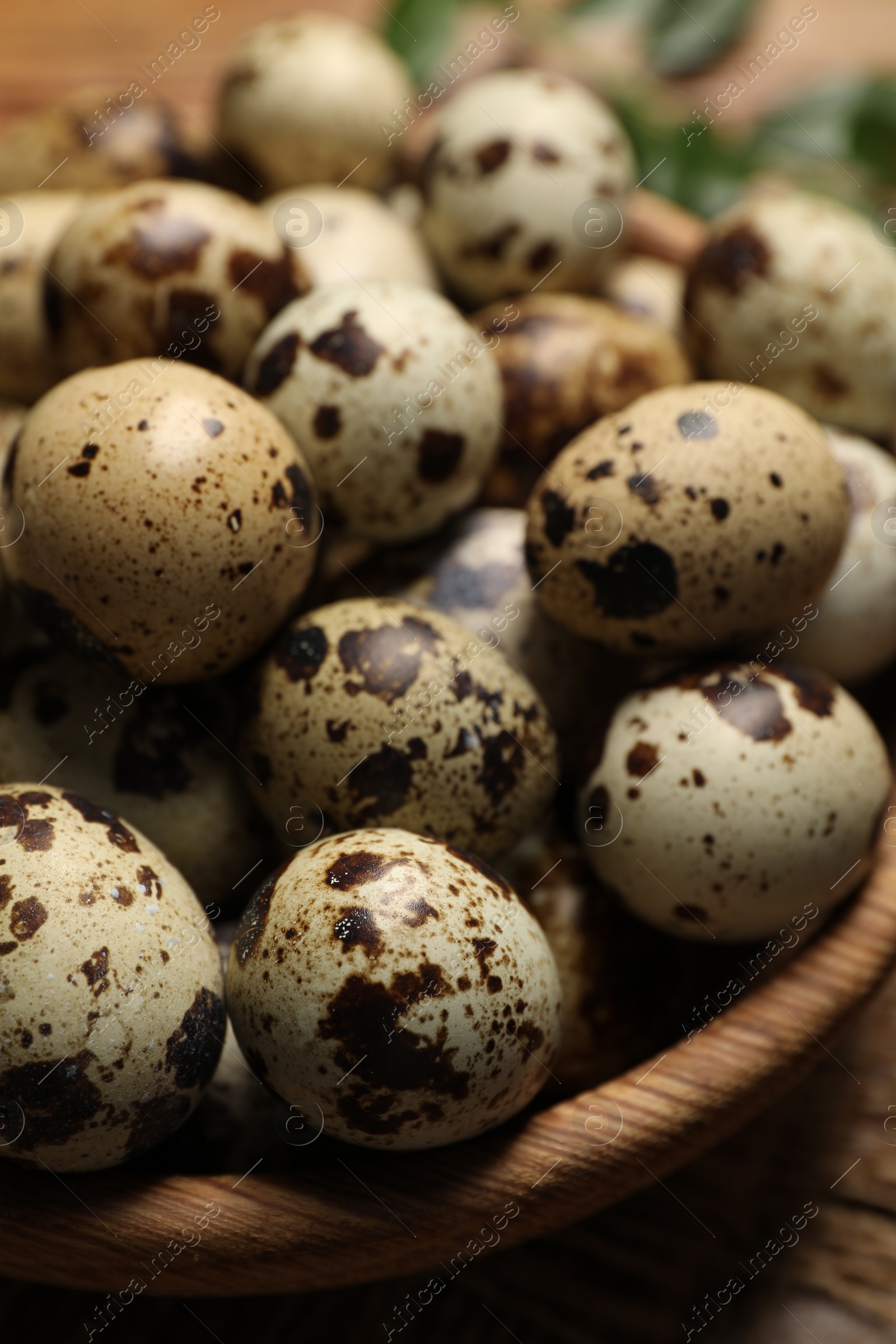 Photo of Wooden bowl with quail eggs on table, closeup