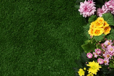 Beautiful chrysanthemum and primrose flowers on green grass, flat lay. Space for text