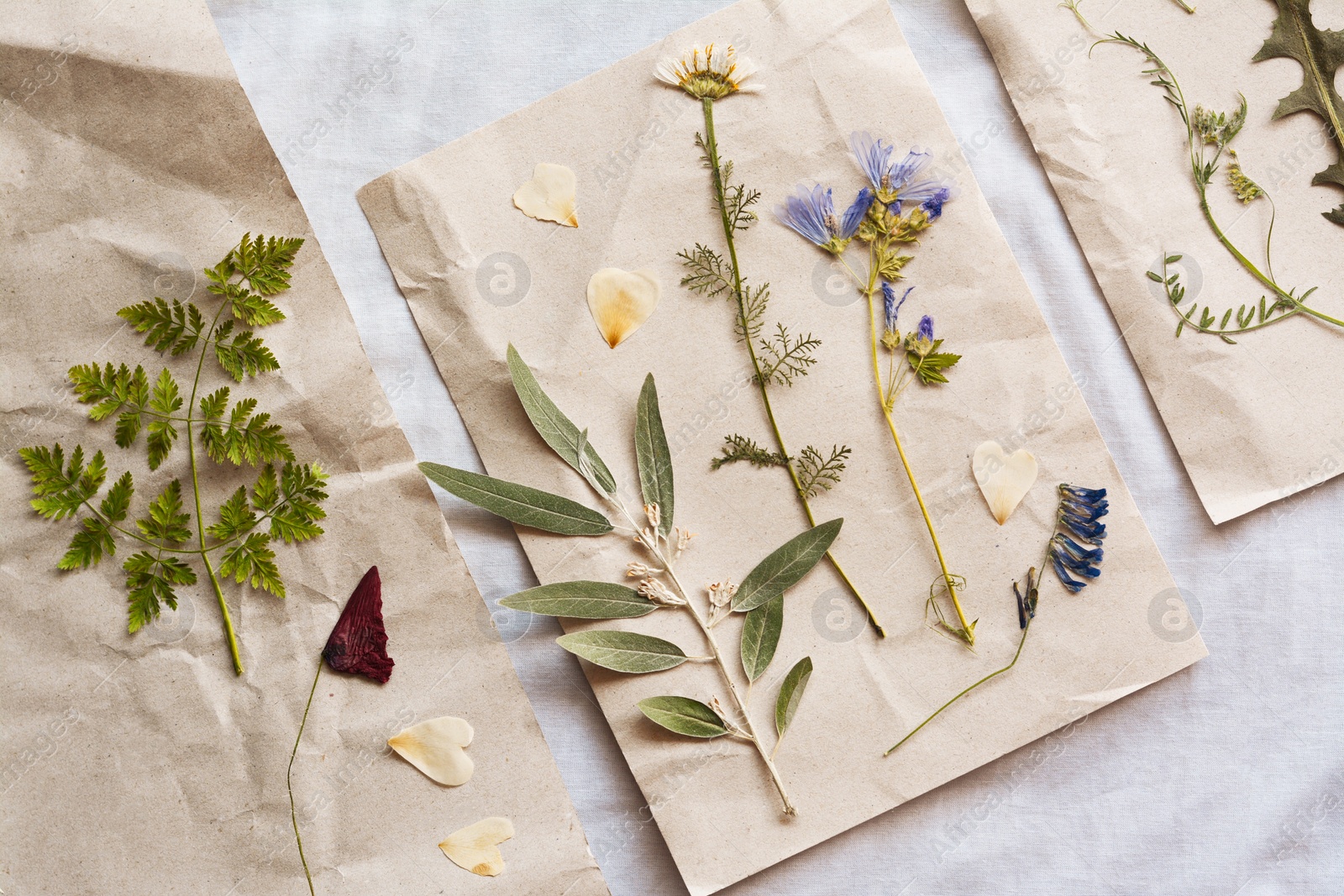 Photo of Sheets of paper with dried flowers and leaves on white fabric, flat lay