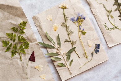 Photo of Sheets of paper with dried flowers and leaves on white fabric, flat lay