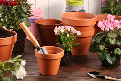 Photo of Time for transplanting. Many terracotta pots, soil, flowers and tools on wooden table