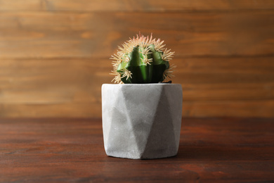 Photo of Artificial cactus in cement flower pot on wooden table