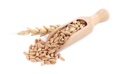 Photo of Wooden scoop with wheat grains and spike on white background