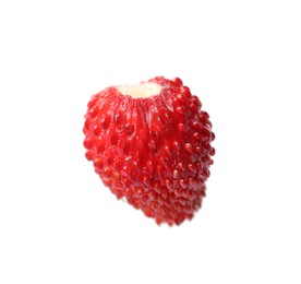 One ripe wild strawberry isolated on white