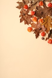 Dry autumn leaves, physalises and acorns on beige background, flat lay. Space for text