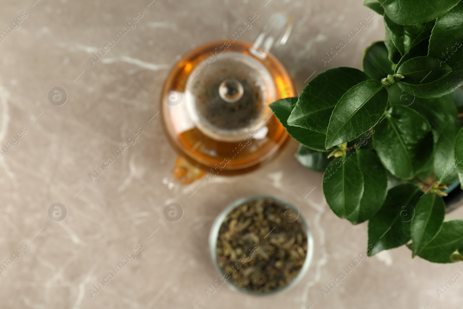 Photo of Tea shrub near glass pot of hot beverage on table, top view