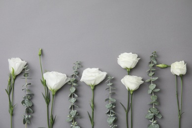 Eucalyptus branches with fresh green leaves and flowers on gray background. Flat lay composition with space for design