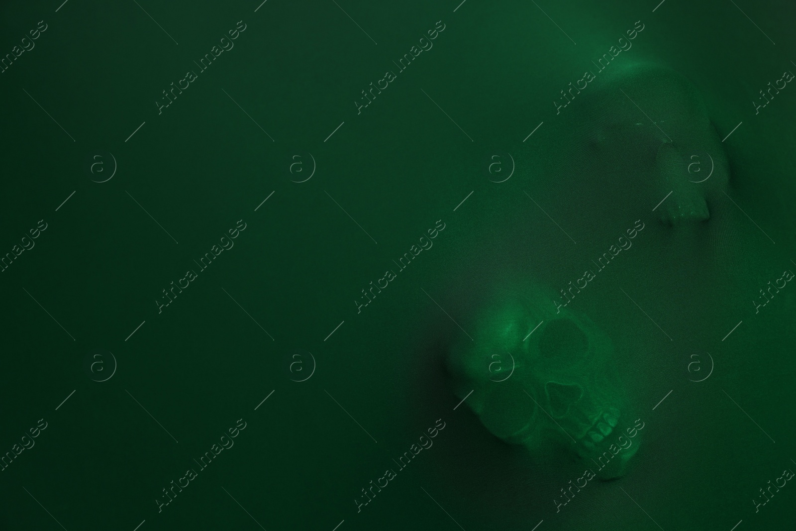 Photo of Silhouette of creepy ghost with skulls behind green cloth. Space for text