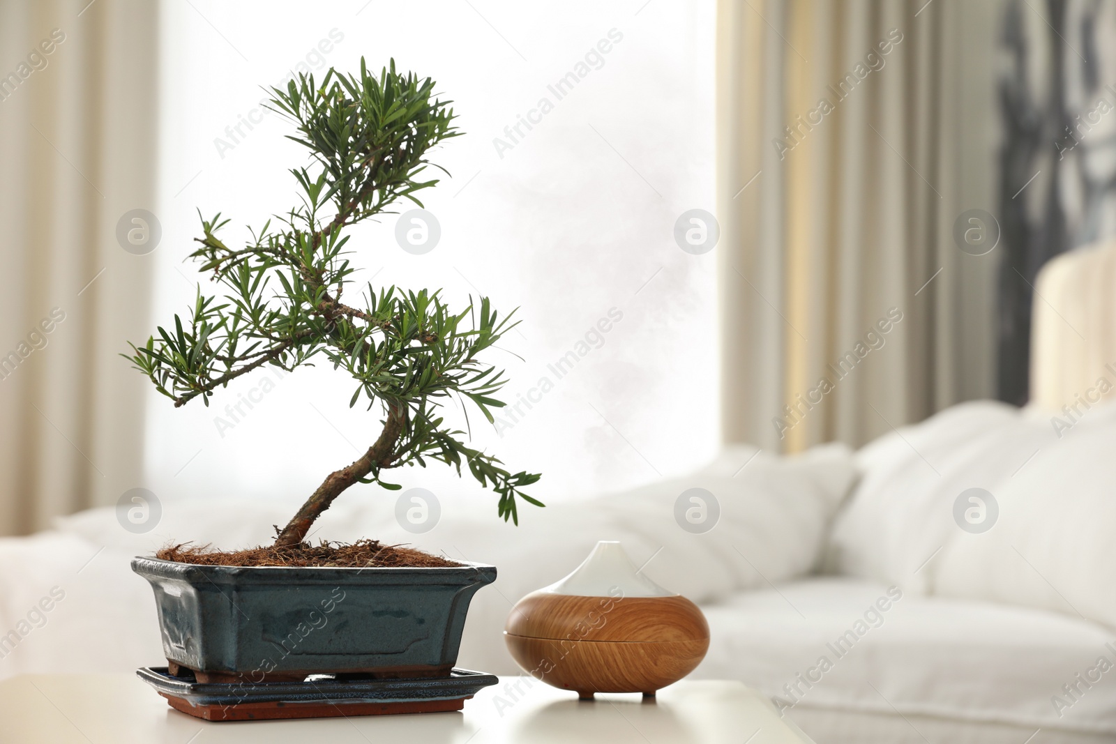 Photo of Japanese bonsai plant and oil diffuser on table in bedroom, space for text. Creating zen atmosphere at home