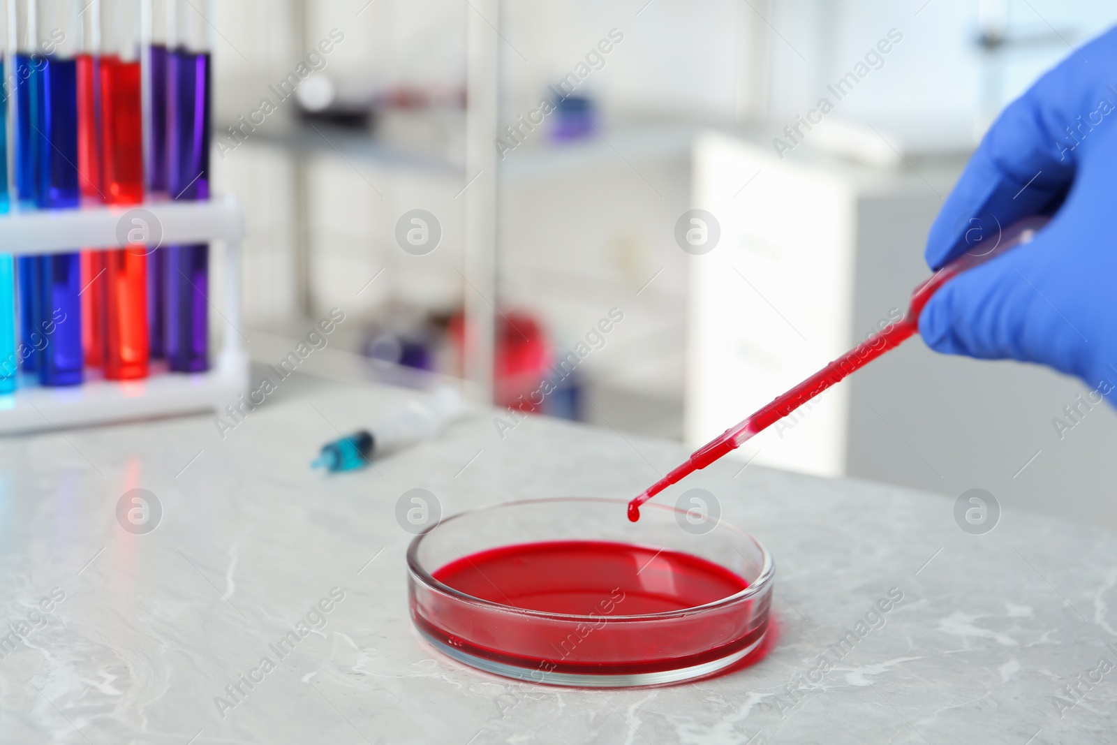 Photo of Scientist dripping reagent into Petri dish with sample in chemistry laboratory, closeup