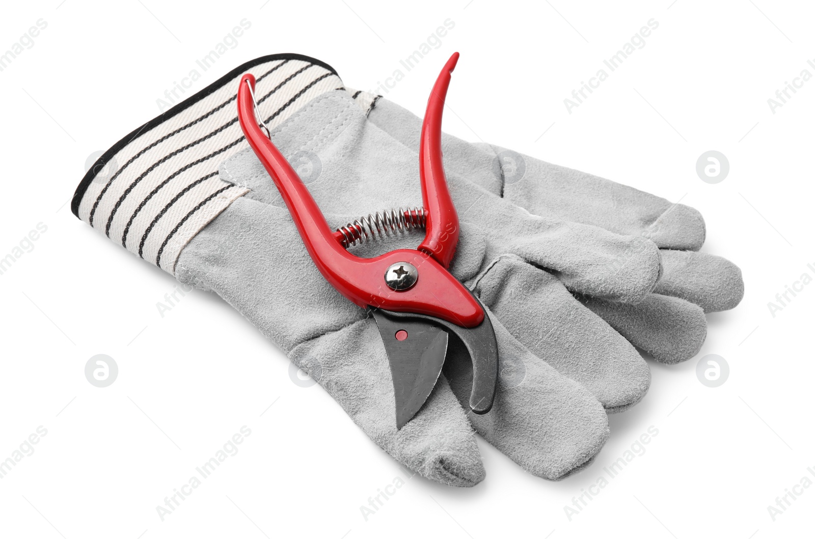 Photo of Pair of gardening gloves and secateurs isolated on white