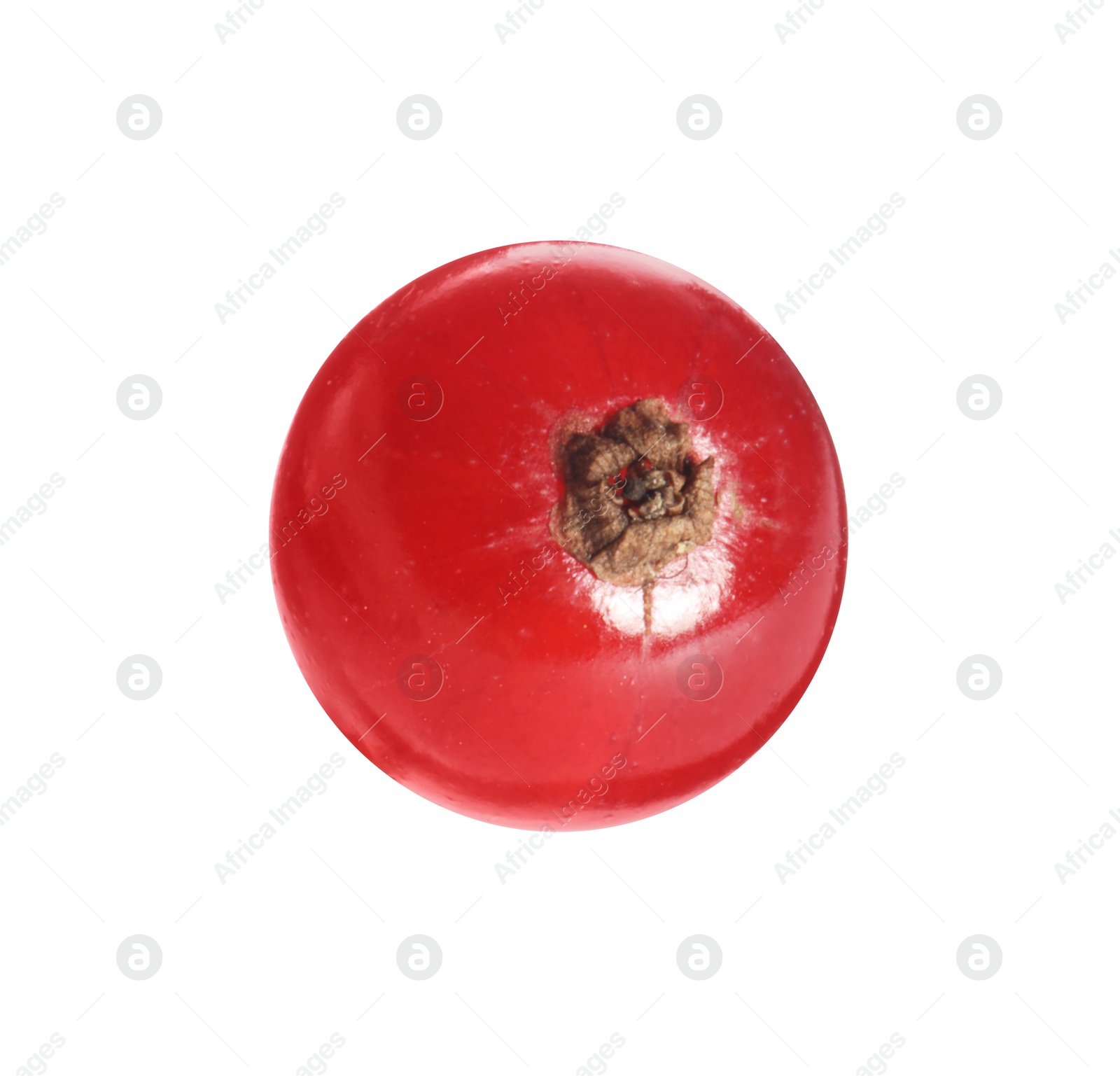 Photo of One ripe red currant isolated on white