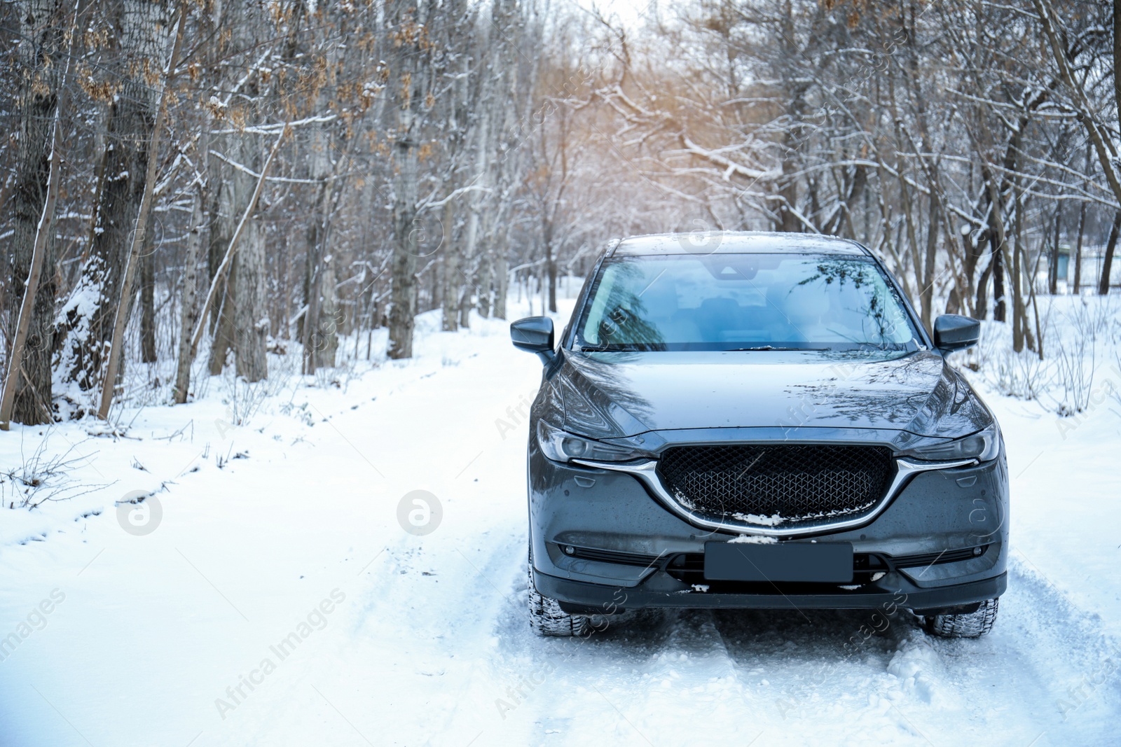 Photo of Snowy country road with car on winter day. Space for text