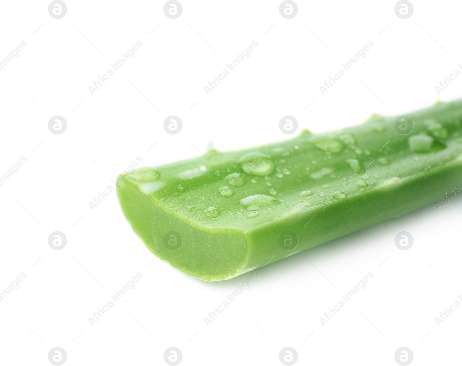 Photo of Aloe vera leaf on white background